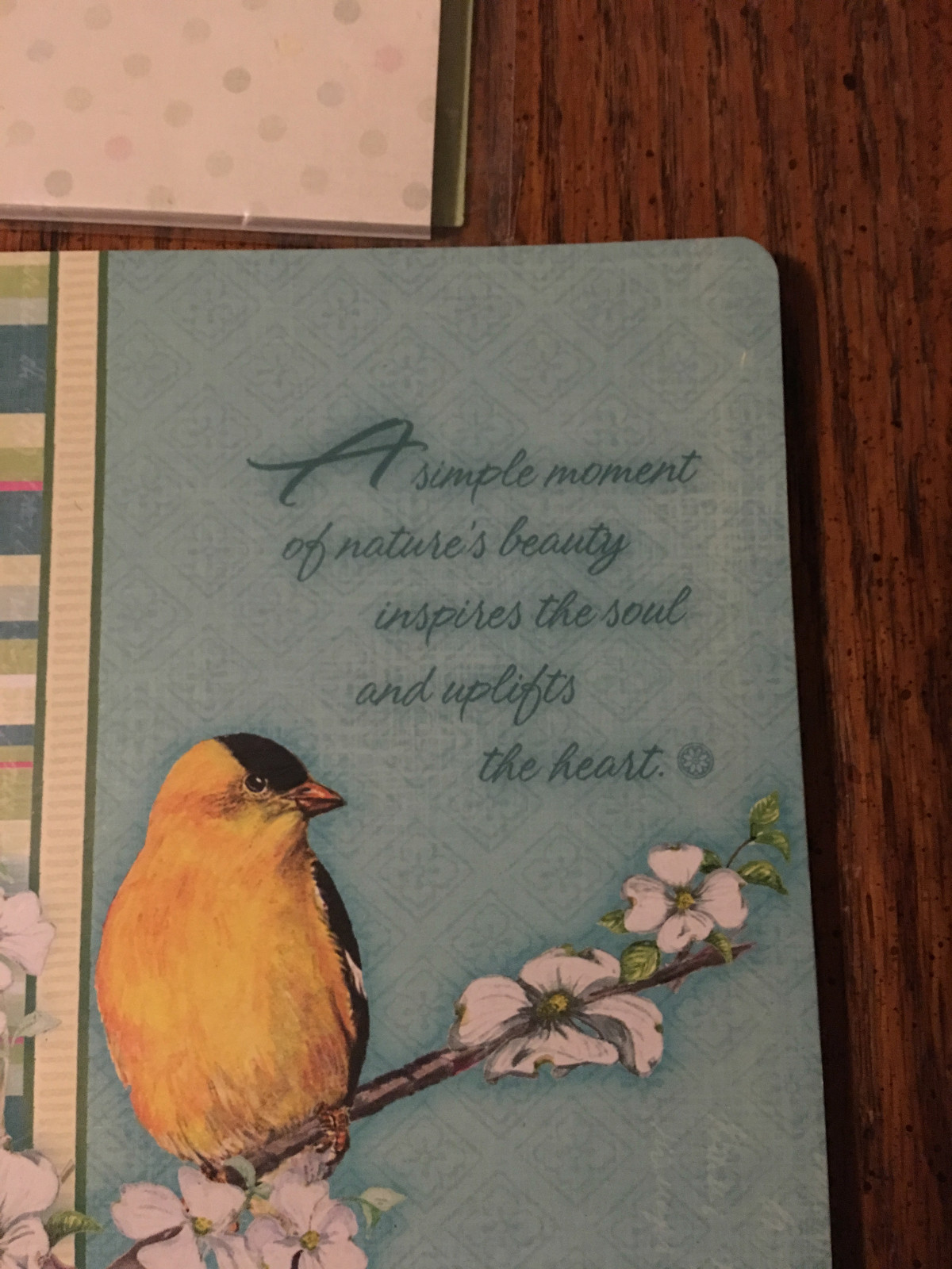 cardinal and robin stationary: notepad, journal, sticky notes, and cards audubon