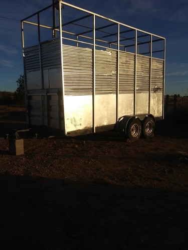 Custom Silage Trailer