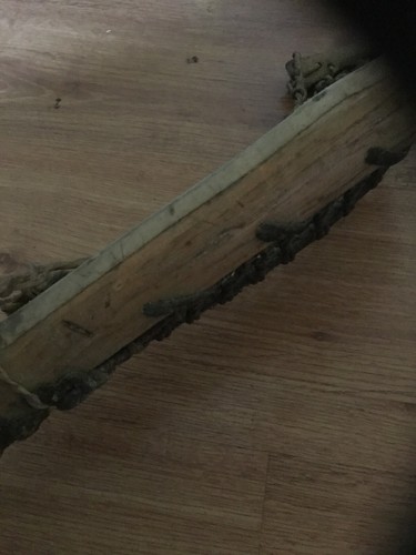 Vintage Antique 44 Inch Long Wooden Lacrosse Stick With Leather Webbing