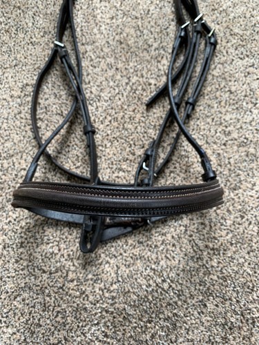 Gorgeous Horse Narrow Raised Brown English Bridle England Hunters