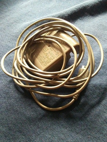 Authentic Nintendo DS Charger