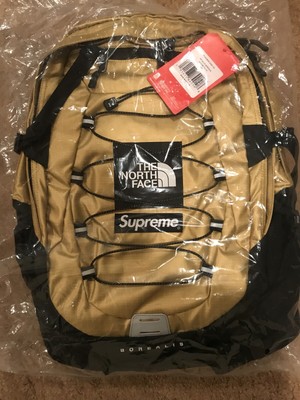 gold supreme north face backpack