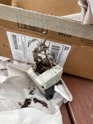 经认证买家提供的物品图片