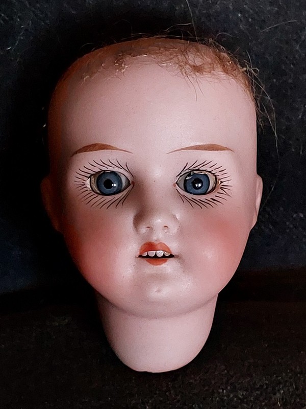 Ancienne TÃªTe De PoupÃ©E Heubach Koppelsdorf 250 12/0 7 Cm