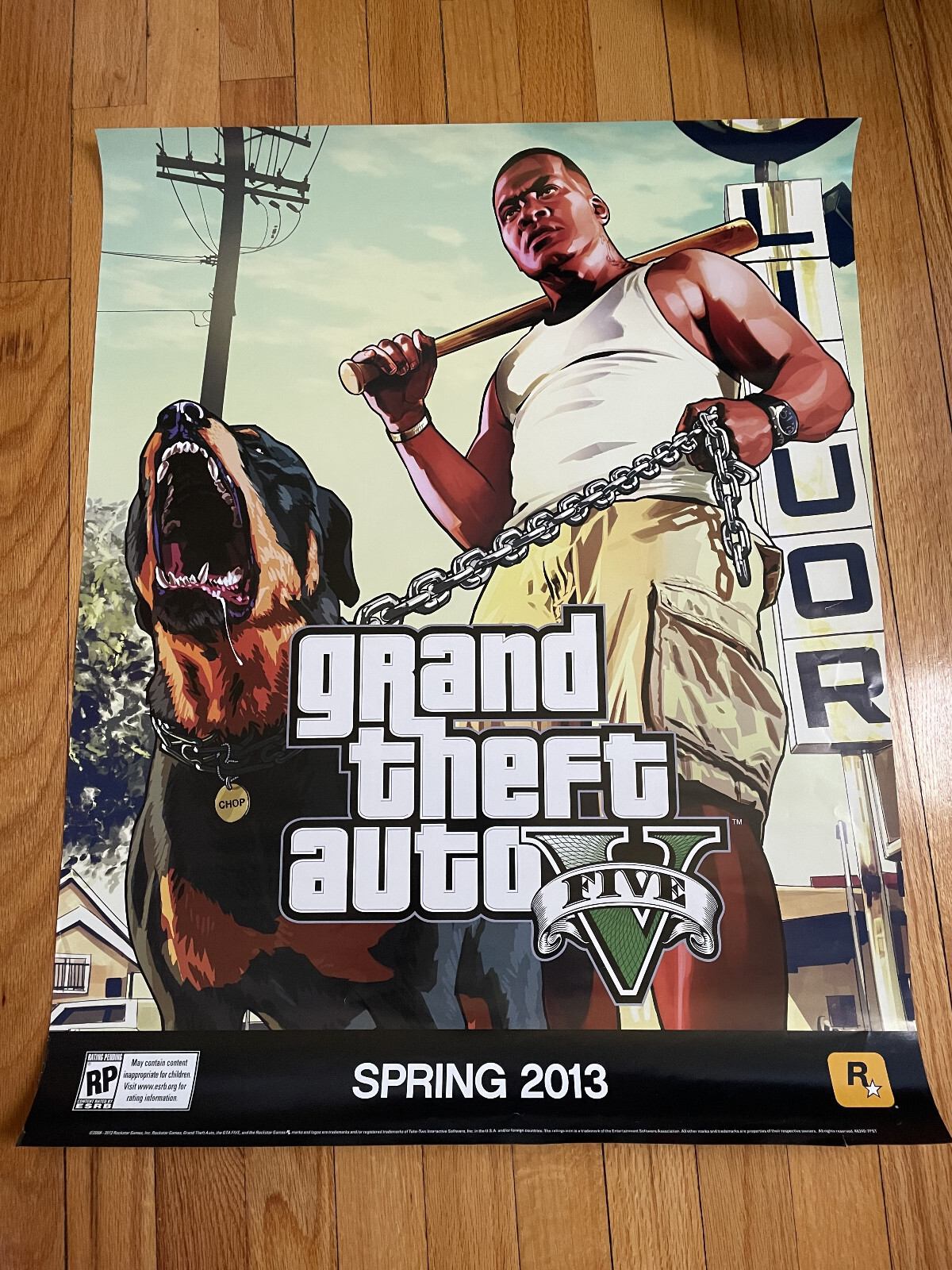 Grand Theft Auto 5 GTA V RARE Official Promotional Poster