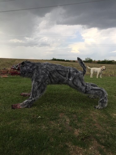 Lifesized Realistic Werewolf Haunted house Prop. Great Halloween Decoration