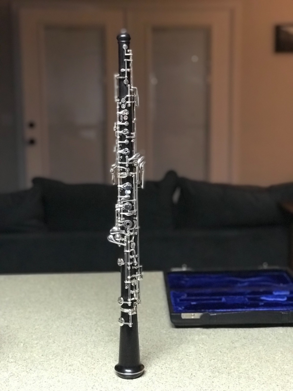 Selmer Model 101 Intermediate Oboe Grenadilla Wood