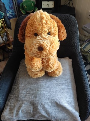 Artikelfoto(s) von einem verifizierten Käufer