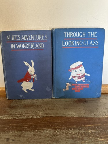 洋書♢‧˚鏡の国のアリス 児童書 ビンテージ 古書 ヴィンテージ Alice