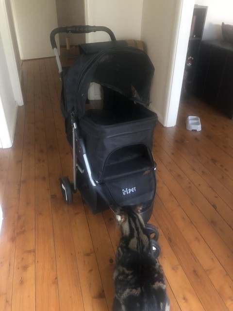 ipet stroller