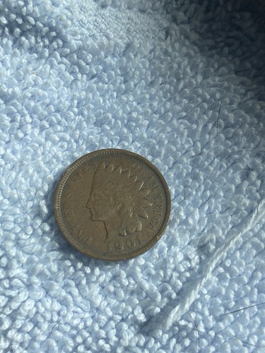 Foto dell'oggetto di un acquirente verificato