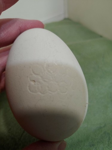 BLOWN GOOSE EGGS Two.
