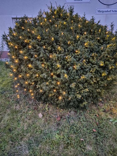 Foto dell'oggetto di un acquirente verificato