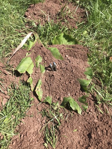 Objectfoto('s) van geverifieerde koper