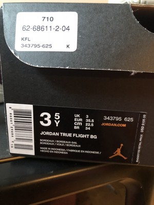 jordan 22 flight 2