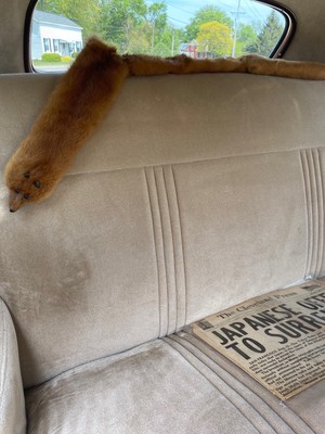 image 5 of interior