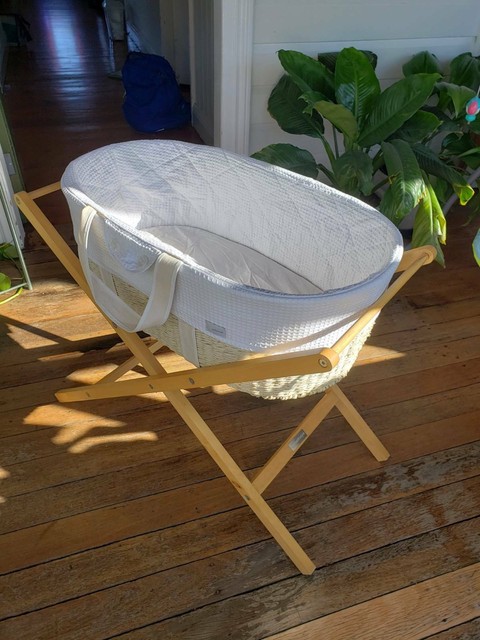 moses style bassinet