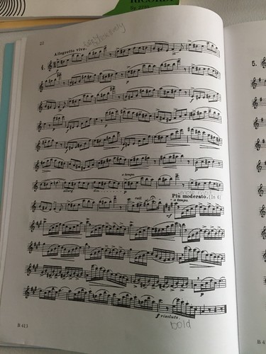 Melodious and Progressive Studies for Flute (Book 1) Robert Cavally Editions