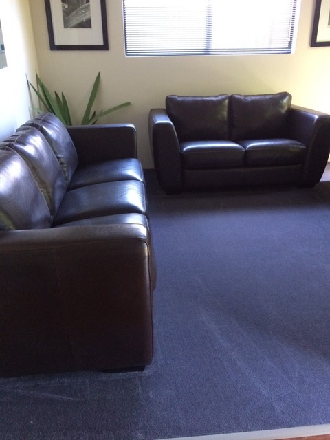 freedom leather lounge