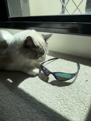 Item photo(s) from verified buyer