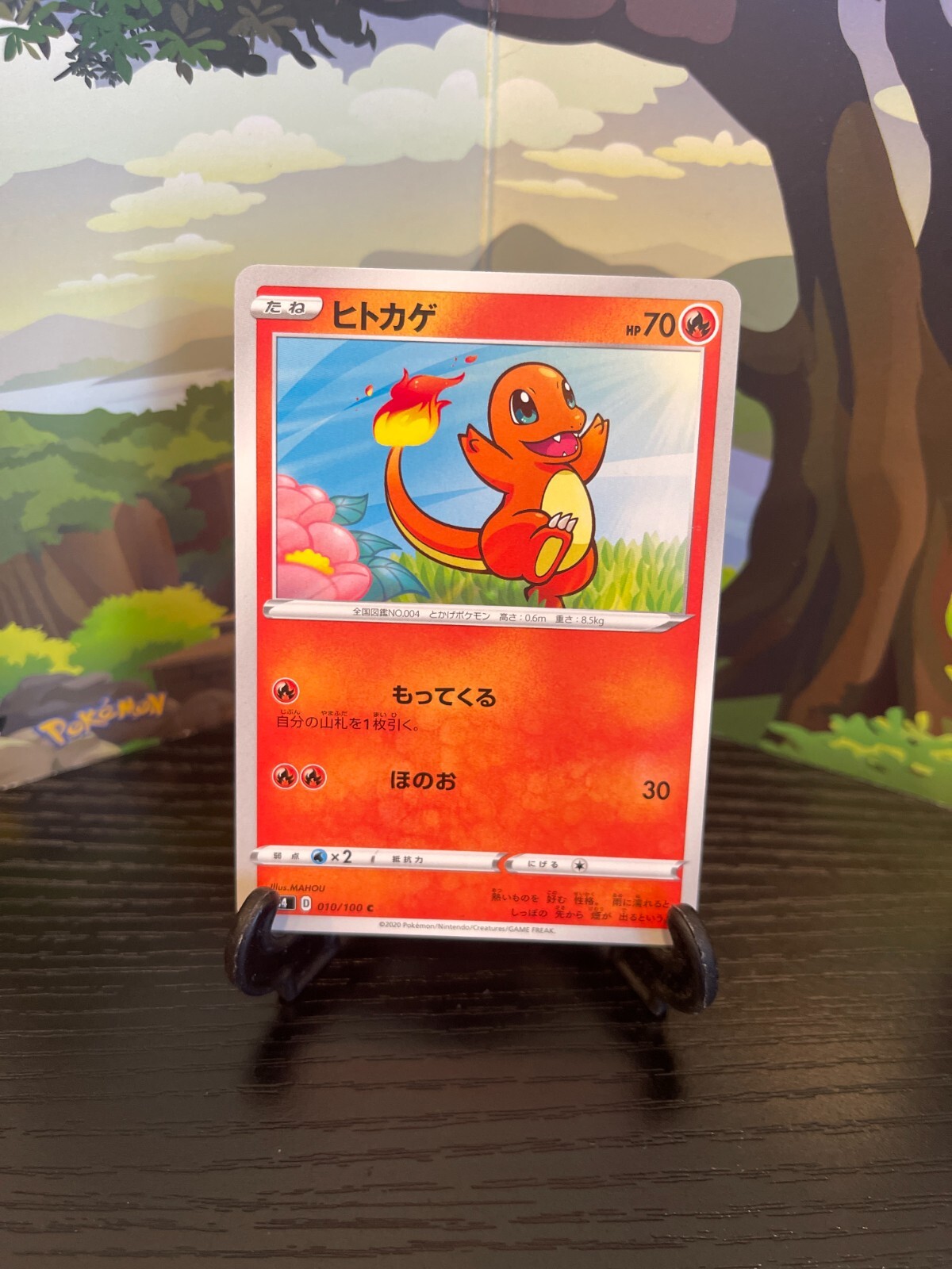 $_57.JPG?set_id=880000500F