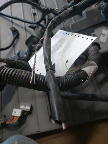 パーツ mari-mari Tohatsu Outboard 2023 OEM Parts Diagram for Fuel System