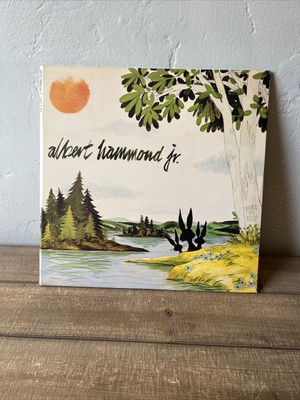 Albert Hammond, Jr. - Yours To Keep レコード