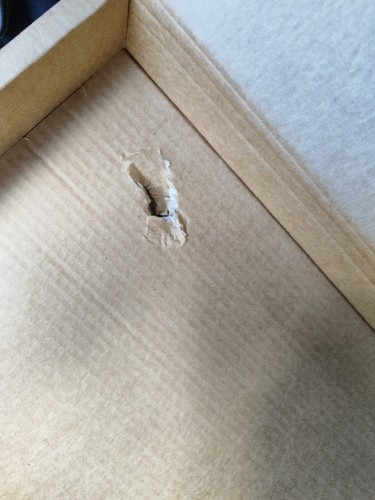 Artikelfoto(s) von einem verifizierten Käufer