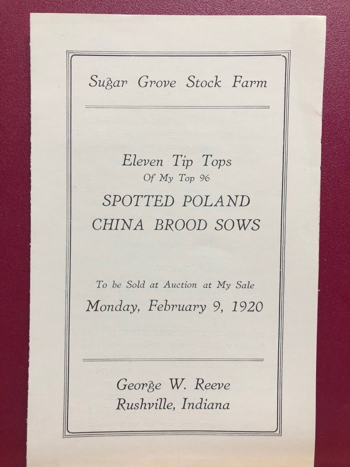 Spotted Poland China  catalog Sugar Grove Farm George W. Reeve Rushville In 1920