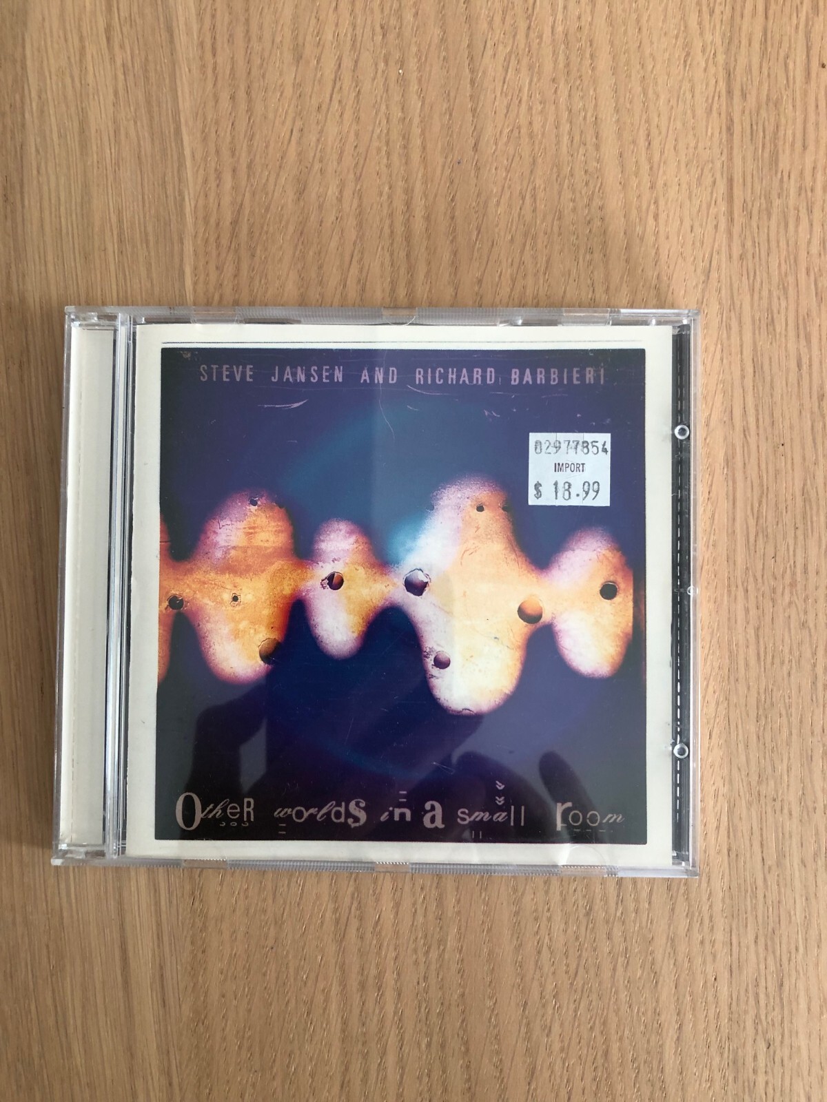 ジャンセン&バルビエリ Other Worlds in a Small Room Other Worlds In A Small Room | Jansen/Barbieri