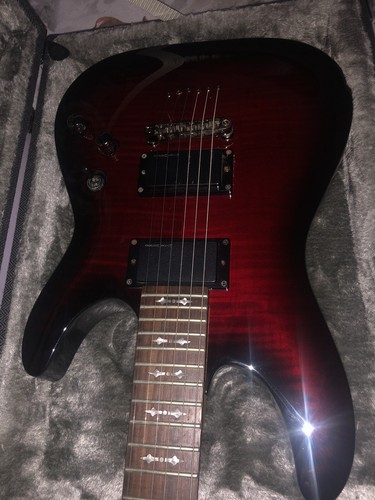 schecter diamond series case