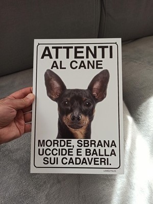 Foto dell'oggetto di un acquirente verificato