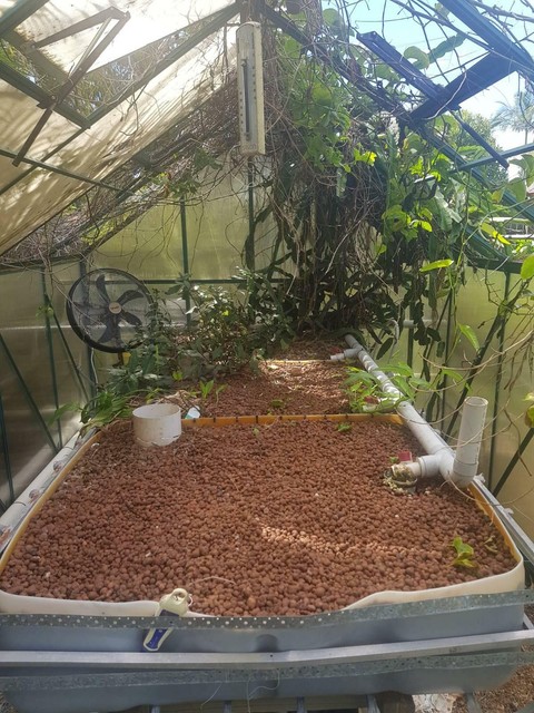aquaponics farm for sale australia - aquaponic