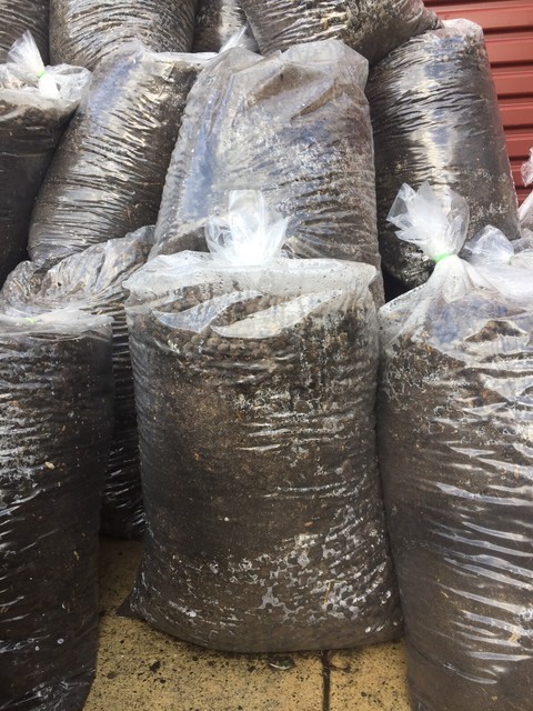Sheep Poo For Garden