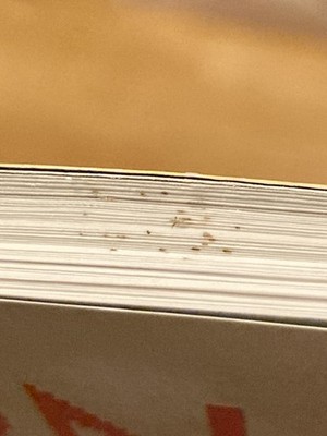 Artikelfoto(s) von einem verifizierten Käufer