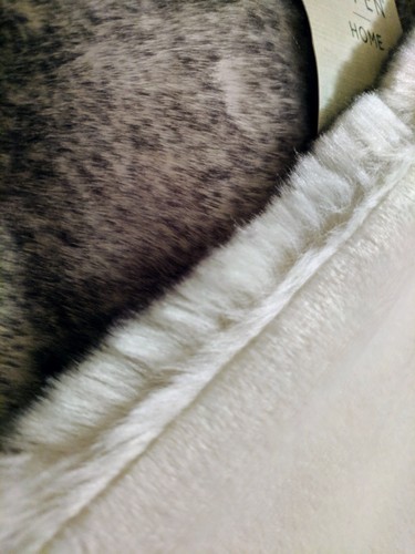 Aspen Home Faux Fur Throw Grey - 50