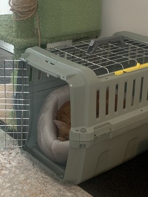 經驗證買家提供的物品圖片