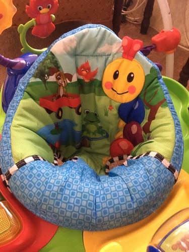 Baby Einstein Activity Jumper Neighborhood Friends LOCAL PICKUP ONLY VERY CLEAN