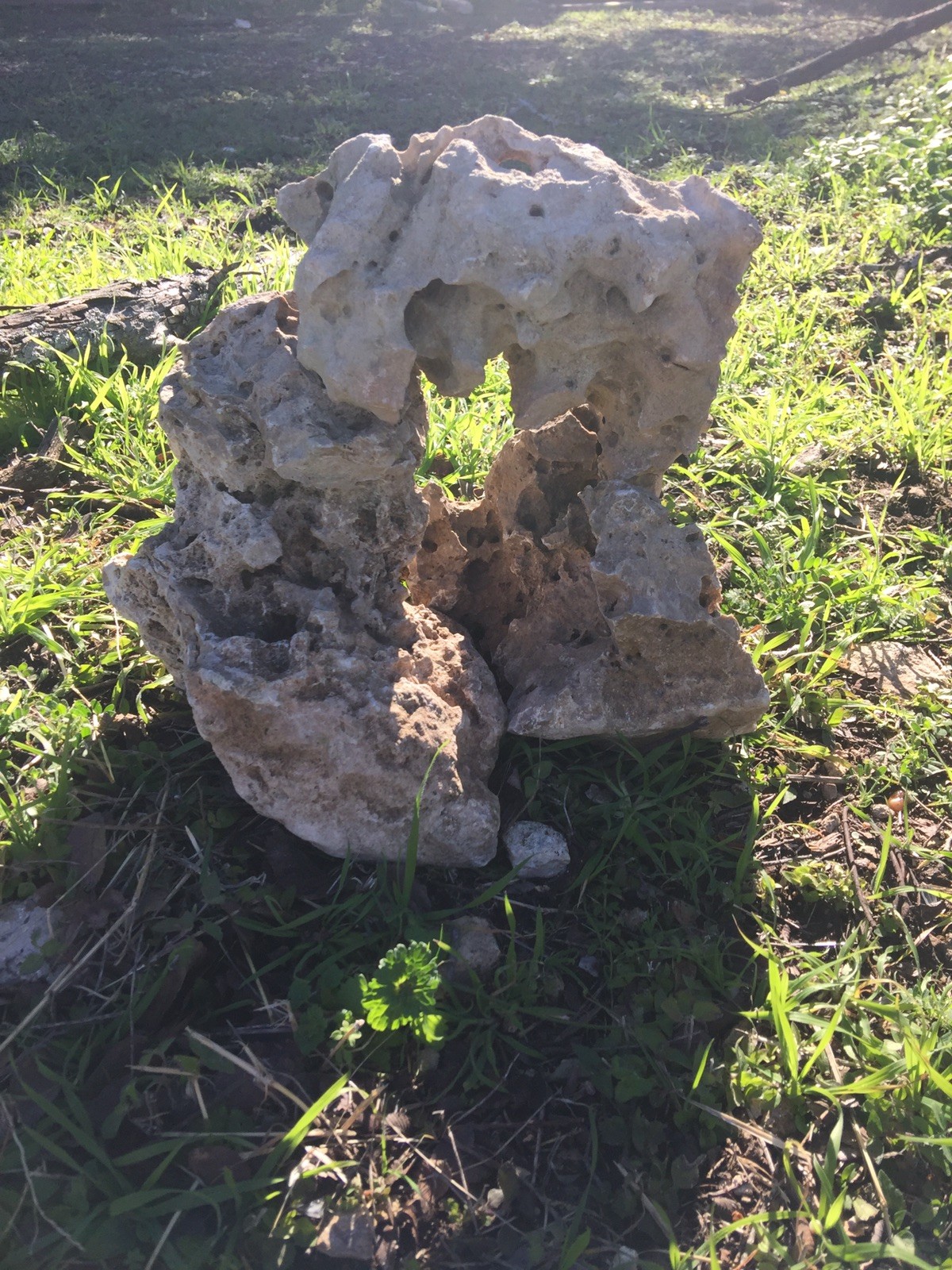 3 Beautiful Texas Holey Rocks (Raw) Approximately 20lbs