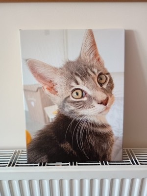 Artikelfoto(s) von einem verifizierten Käufer