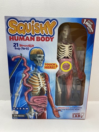 Smart Lab Squishy Human Body Educational Kids | eBay
