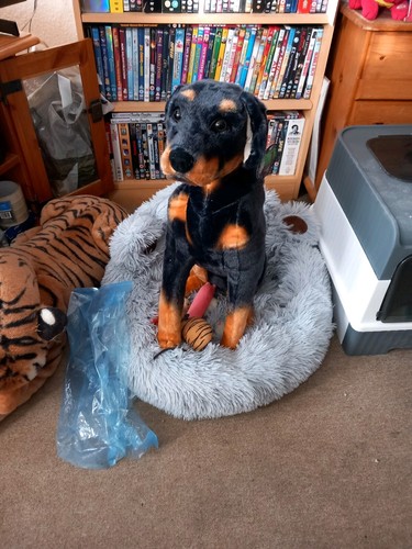 Artikelfoto(s) von einem verifizierten Käufer