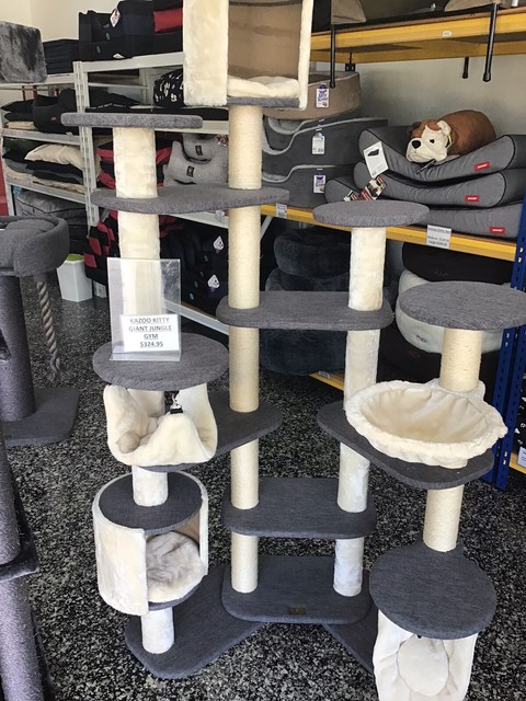 Kazoo kitty jungle  cat  scratcher Pet Products Gumtree 