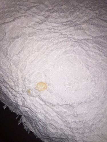 Morgan Jones White Full Cutter Bedspread