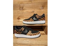 master jaguar x saner