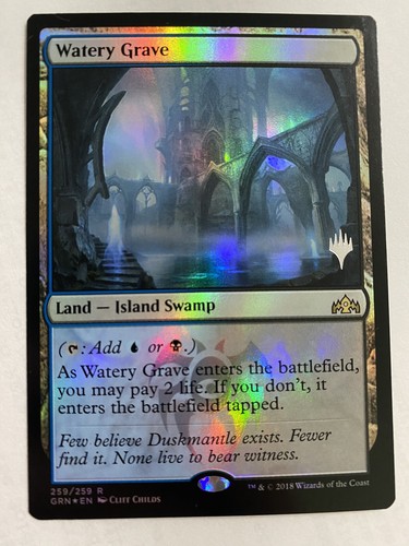 【美品】MTG 湿った墓 / Watery Grave [EXP] Foil $_12.JPG?set_id=880000500F