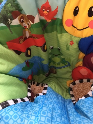 Baby Einstein Activity Jumper Neighborhood Friends LOCAL PICKUP ONLY VERY CLEAN