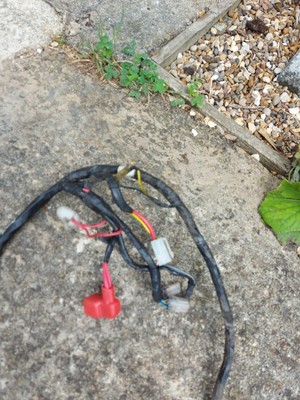 Peugeot V-clic Wiring Harness | Cheap Replacement Wiring Harness Car Parts