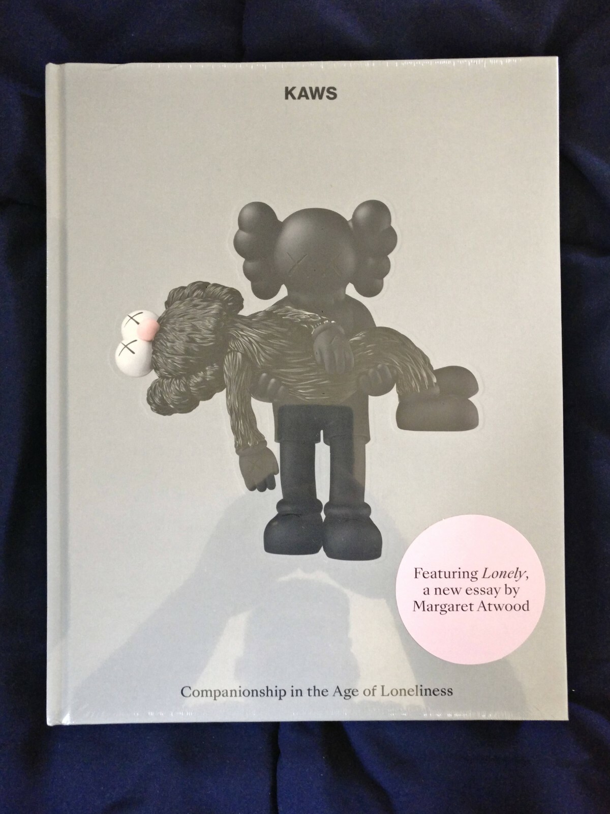 NGV KAWS Companionship Age of Loneliness
