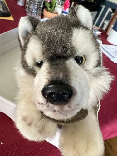 Lovely fluffy/灰色Logic miko：Lovely fluffy Yomiko Classics Plush Stuffed animal WOLF With Original Tags